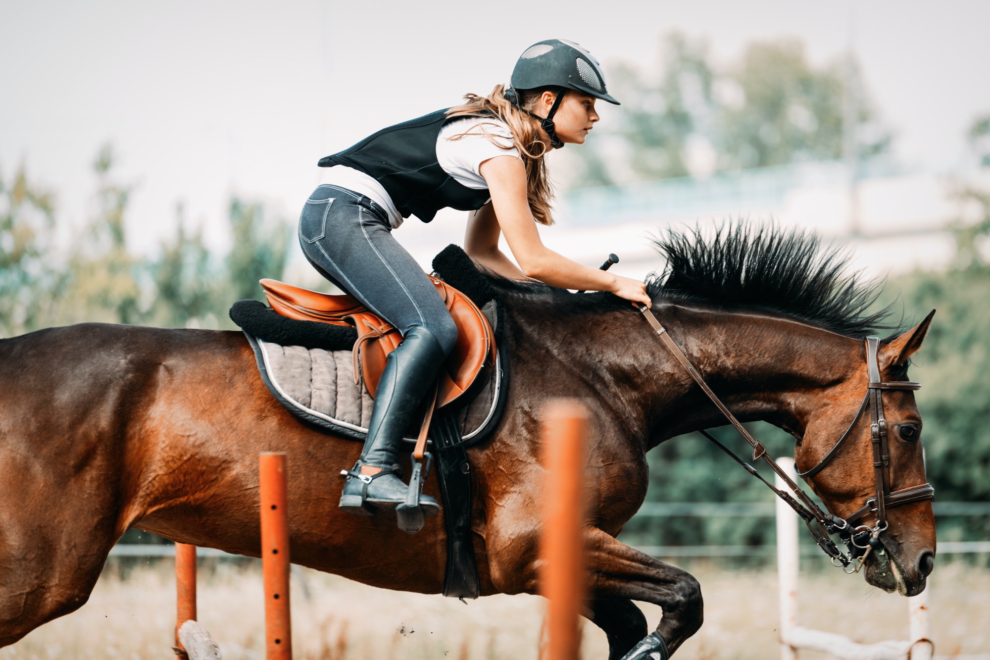 picture-of-young-pretty-girl-riding-horse.jpg